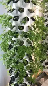 Dikey Topraksız Tarım Seti