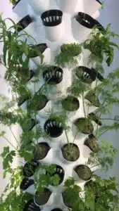 Dikey Topraksız Tarım Seti