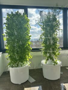 8 katlı 40 gözlü dikey topraksız tarım kulesi sistemi