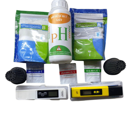 Topraksız Tarım Başlangıç Seti