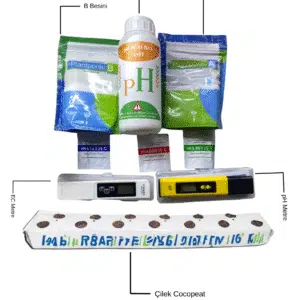 Topraksız Tarım Çilek Başlangıç Seti