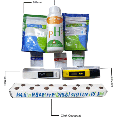 Topraksız Tarım Çilek Başlangıç Seti 3 Topraksız Tarım Çilek Başlangıç Seti