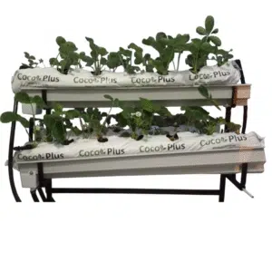 Topraksız tarım hobi seti ile evde çilek üretimi