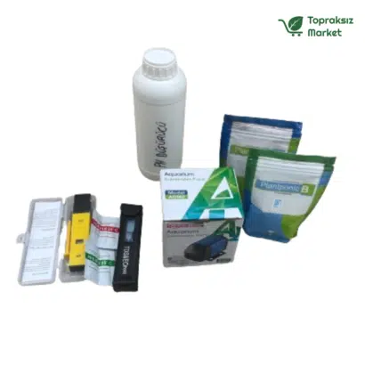 Topraksız tarım hobi seti ile evde çilek üretimi