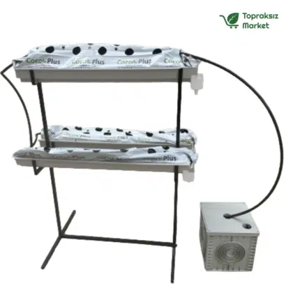 Topraksız tarım hobi seti ile evde çilek üretimi