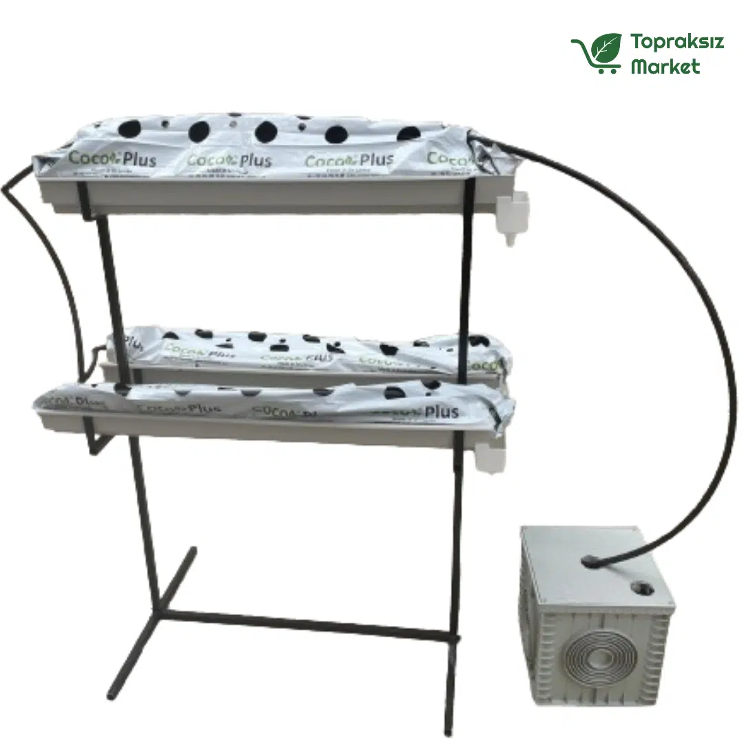 Topraksız tarım hobi seti ile evde çilek üretimi