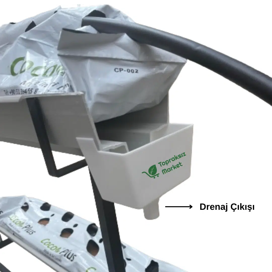 Topraksız tarım hobi seti ile evde çilek üretimi