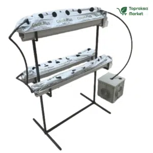 Topraksız tarım hobi seti ile evde çilek üretimi