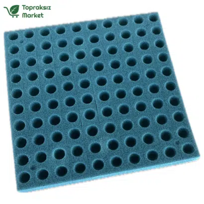 oyuklu tohum çimlendirme süngeri