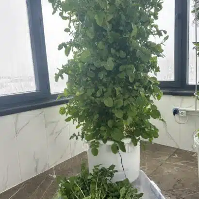 8 katlı 40 gözlü dikey topraksız tarım kulesi sistemi