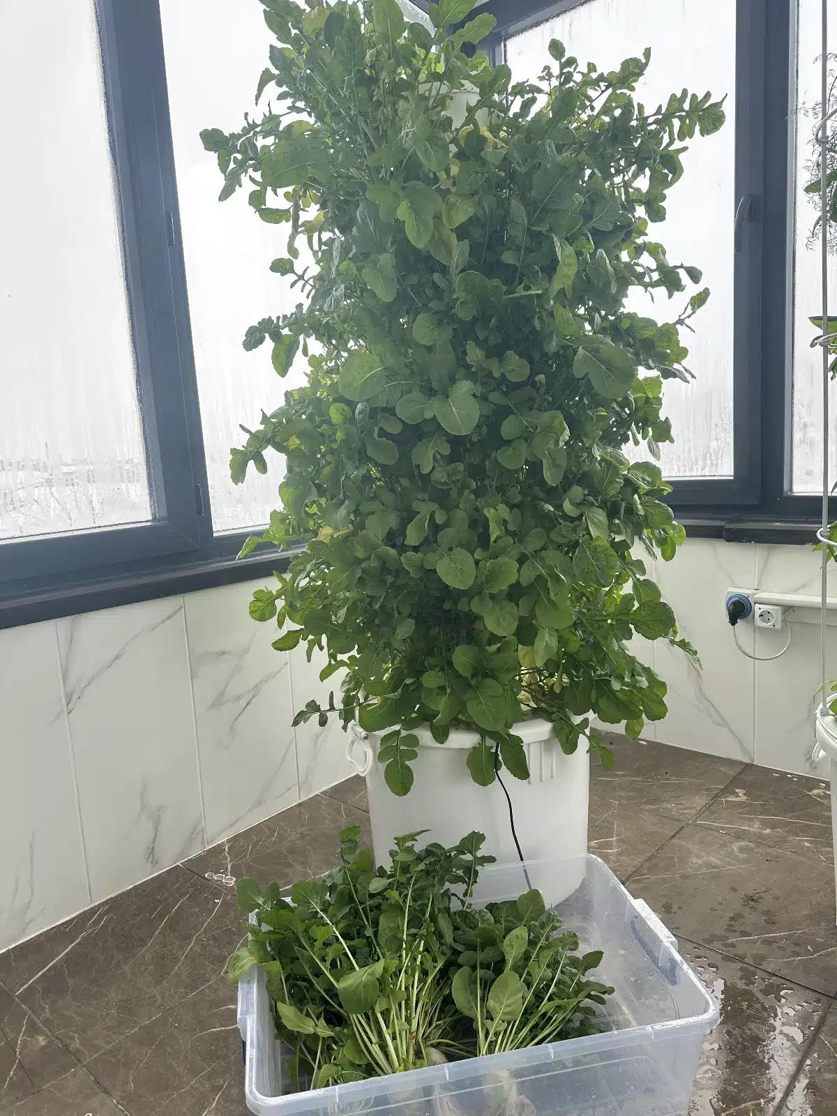 8 katlı 40 gözlü dikey topraksız tarım kulesi sistemi