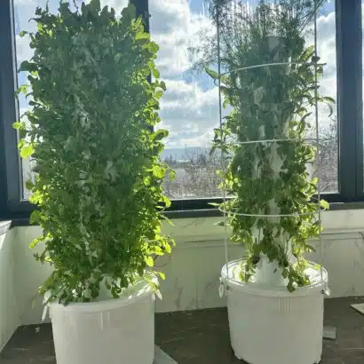 8 katlı 40 gözlü dikey topraksız tarım kulesi sistemi