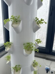 Ankara hidroponik dikey kule fiyatları