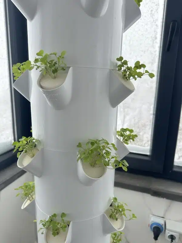 8 katlı 40 gözlü dikey topraksız tarım kulesi sistemi