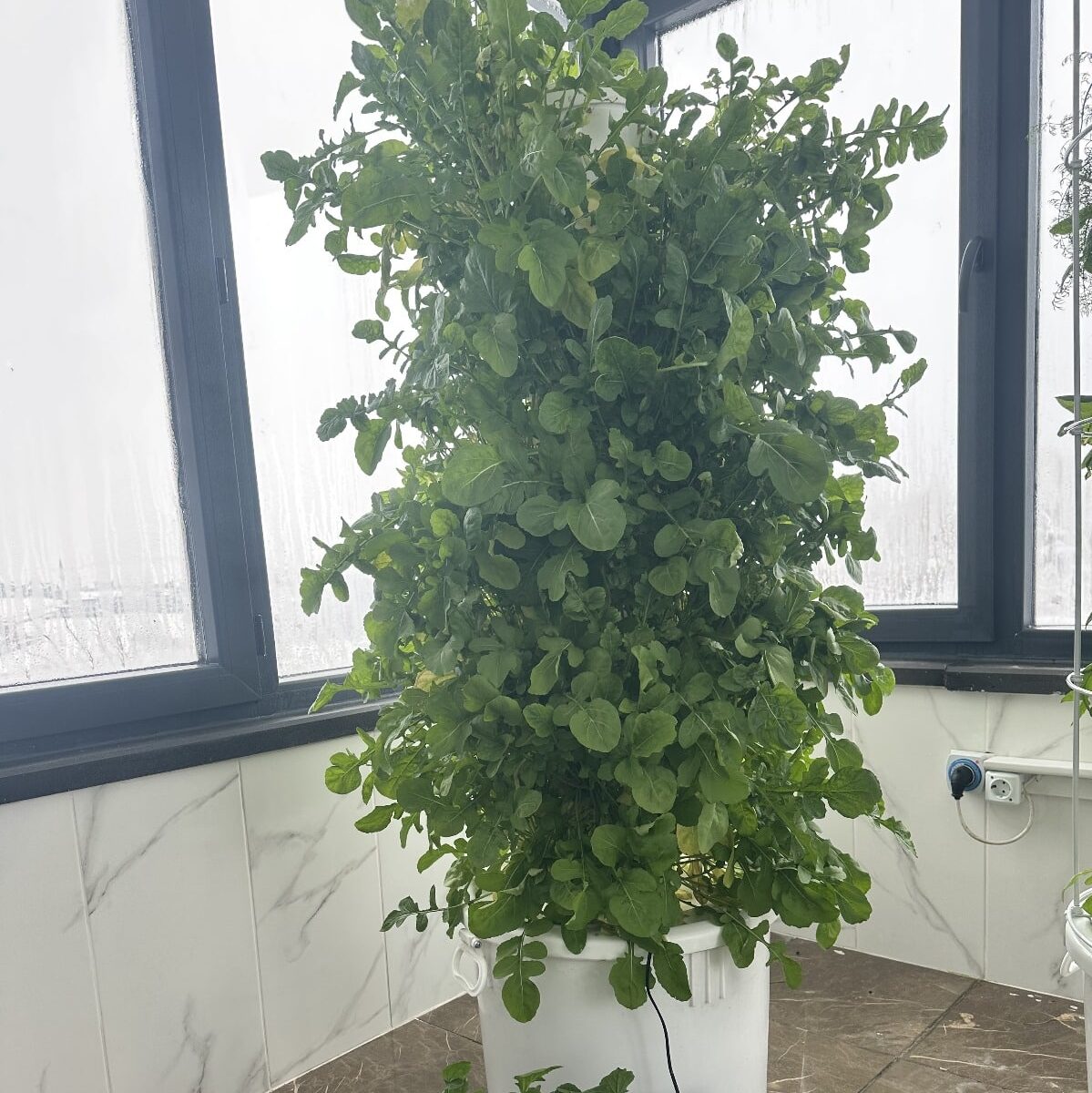 Dikey Topraksız Tarım Kulesi 6 Katlı 30 Gözlü | Full Set Hidroponik Kule 7 Dikey Topraksız Tarım Kulesi 6 Katlı 30 Gözlü | Full Set Hidroponik Kule