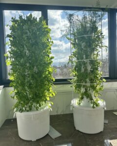 Dikey Tarım Kule Fiyatları