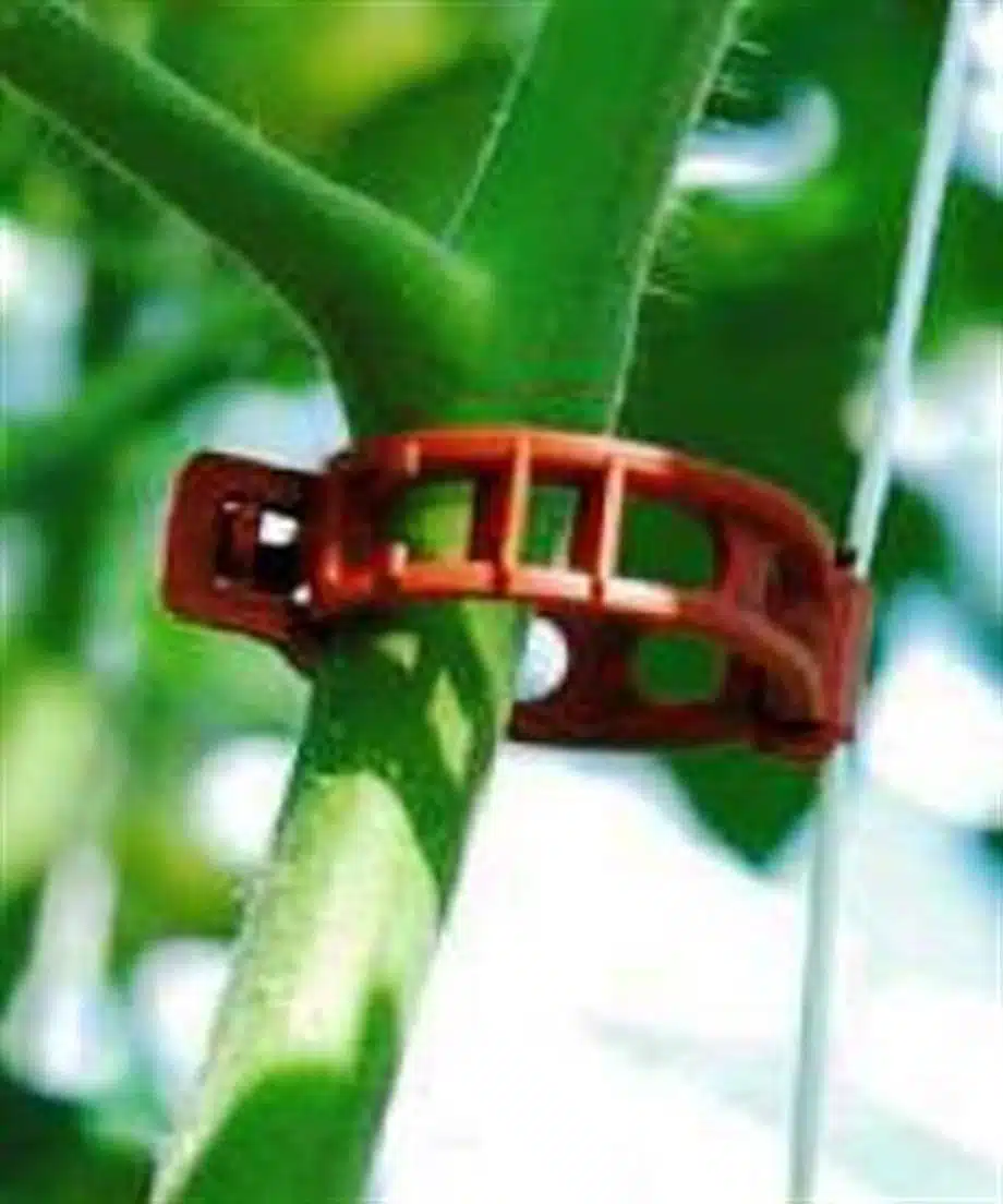 Bitki Klipsi - Domates Klipsi 50 Adet Sarmaşık Bitki Bağlama Kelepçesi, Kahverengi