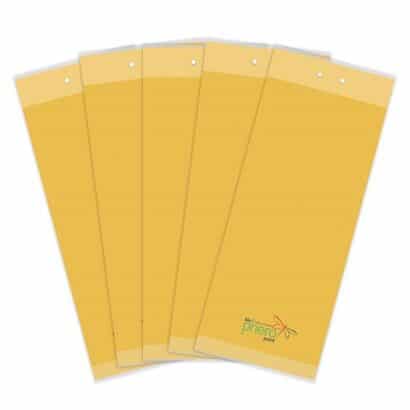 Sarı yapışkan kart tuzak 25x10 cm – seralar için haşere kontrolü