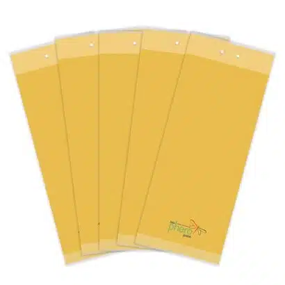 10’lu Yapışkan Kart Tuzak 25x10 cm (Sarı) – Seralar ve Tarım Alanları İçin Haşere Tuzağı 4 Sarı yapışkan kart tuzak 25x10 cm – seralar için haşere kontrolü