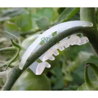 Salkım Koruma Klipsi