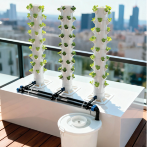 Dikey tarım çilek üretimi